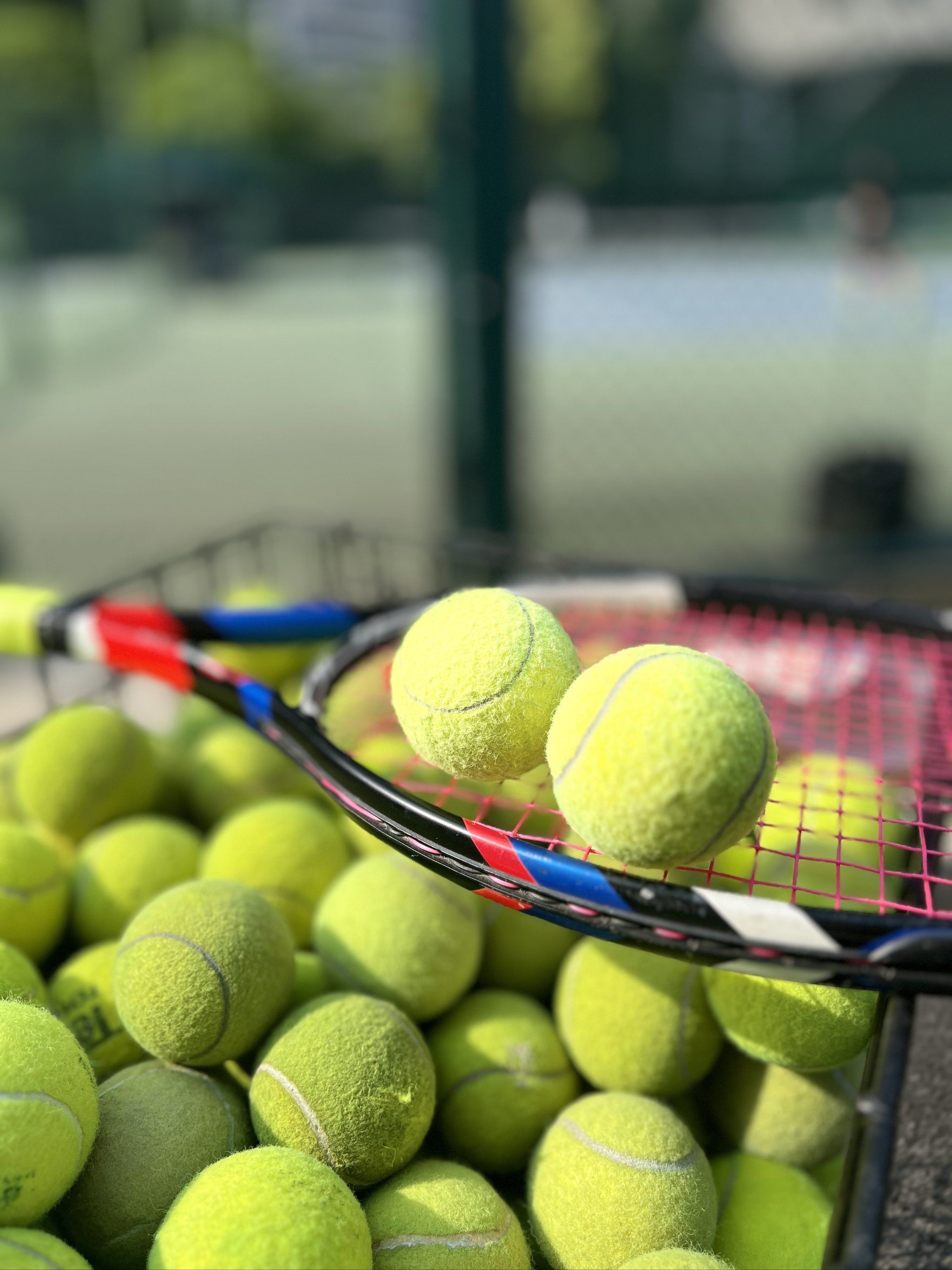 摩俱乐部等 摩俱乐部等